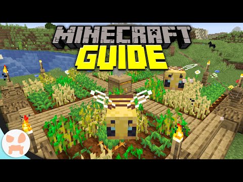 wattles - Efficient Bee Crop Farm! | Minecraft Guide Episode 4 (Minecraft 1.15.1 Lets Play)