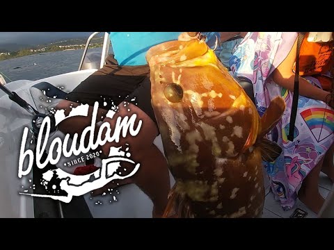 KABELJOU, GEELBEK and ROCKOD - DEEP SEA FISHING SOUTH AFRICA