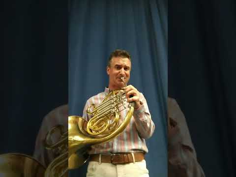 The Pink Panther for French Horn by Zsolt Gábor Nagy