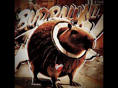 Burbaloni luliloli funk #fyp #funk #meme