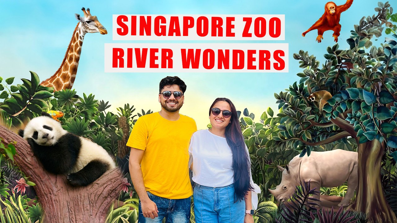 Join travelers as they explore the enchanting Singapore Zoo in this captivating video!