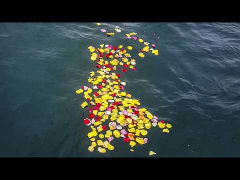 Scatter Ashes at Sea