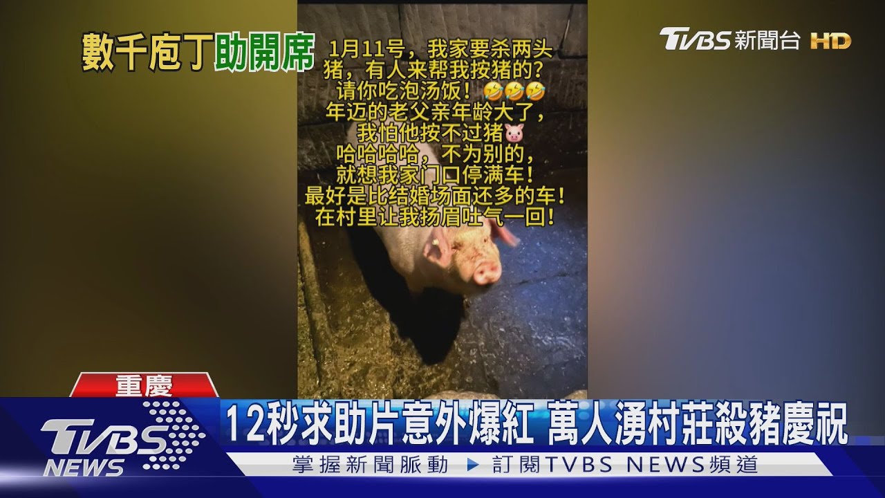 陸女發文求助「幫殺豬」竟爆紅! 湧入萬人狂歡