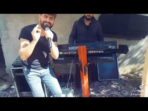 Bervan Argeş Zırave 2022 yeni