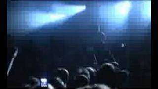Despised Icon - The Ills Of Modern Man (Live)