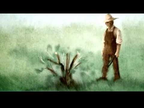 Hugh B. Brown - God is the Gardener