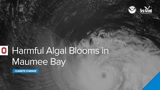 Climate Change and Harmful Algal Blooms in Maumee Bay Webinar