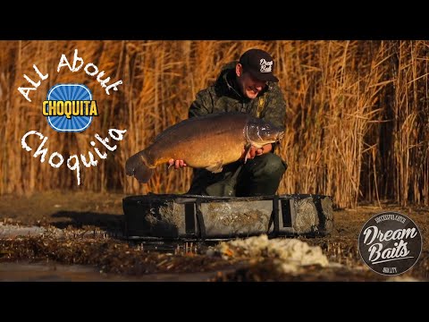 Dreambaits TV All About: Choquita - Martin Höpfel präsentiert die Range