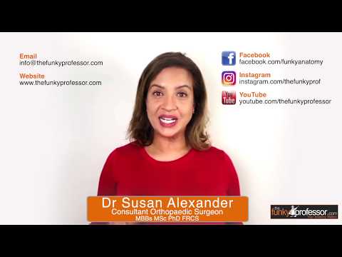 The Funky Professor Anatomy Coronavirus update