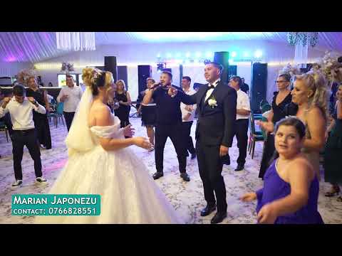 Marian Japonezu - Decibeli [Live 2024]