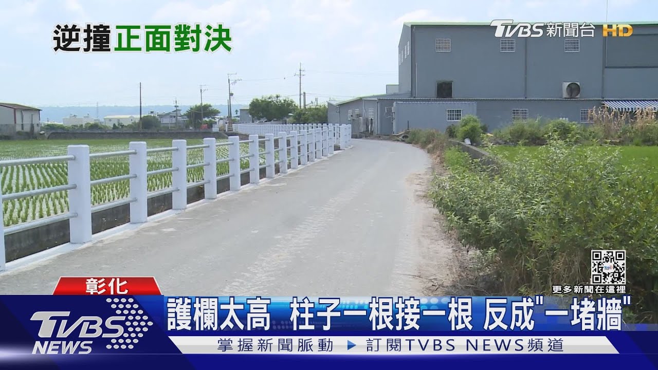 阿嬤變貓熊護欄遮蔽視線 騎士閃車摔溝
