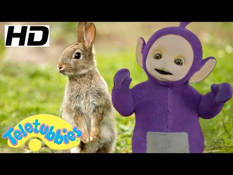 ★Teletubbies Episodes ★ Animals ★ Watch 1 Hour Teletubbies Compilation ★ Full Episodes