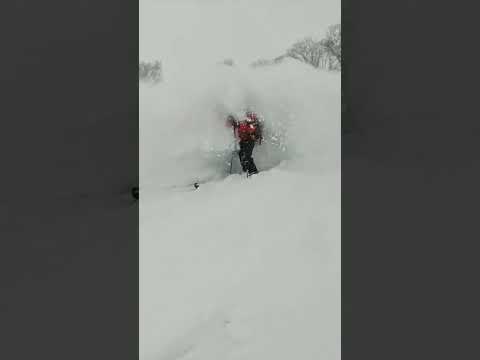 新井スキー場パウダー過ぎてやばかった