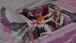 【和訳/日本語字幕】”私が壊れちゃうくらい強く抱きしめてよ” As If It’s Your Last(마지막처럼) - BLACKPINK