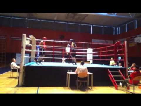 boxturnier in wels  stancic