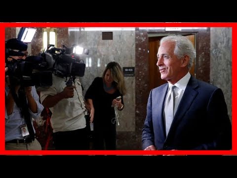 Inside the cia’s black site torture room