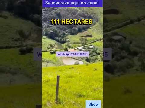 Fazenda de 23 alqueires, muita água em Novo Oriente MG #brasil #agro #novooriente #gado #fazenda