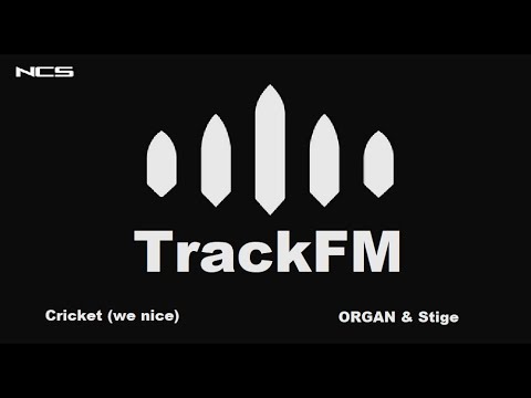 ORGAN & Stige - Cricket (we nice)