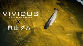 【バス釣り】亀山のビッグバスを仕留めるVIVIDUS攻略 /堀川海都•片岡壮士