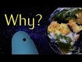 Why Do Things Exist Setting The Stage For Evolution