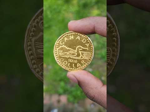 🇨🇦 Gold Coin Chocolate