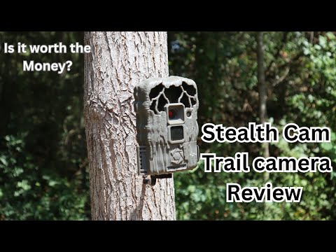 Stealth Cam trail camera review!  ** BEST BANG FOR THE BUCK? **