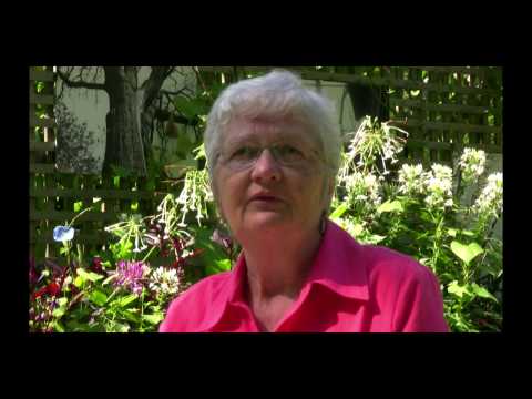 Pillar Community Innovation Awards - Impact Finalists