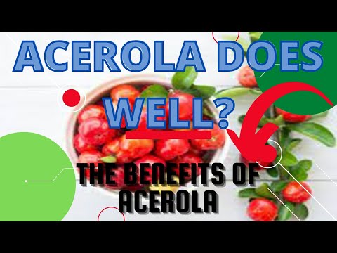 THE SECRET TO THE BENEFIT OF ACEROLA | NATURE OF THE AMAZON