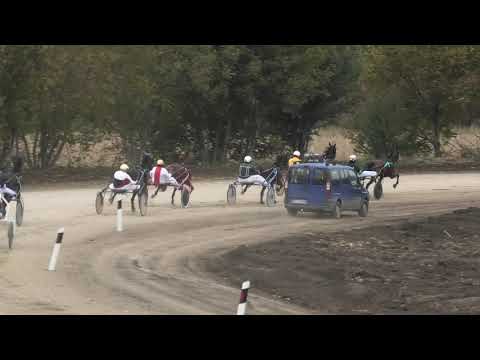 Trka "Finnet d.o.o.-Pančevo" 31.10.2020  Grom I.V. - Aleksandar Jankulov