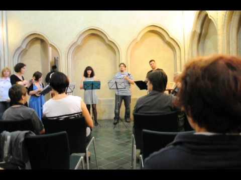 Muzejni Noc Brno 2012   Spilberk ukulele zabili zabili