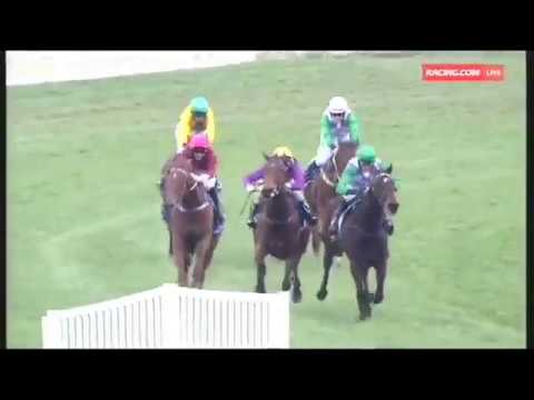 2017 BTC Grand National Steeplechase