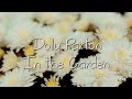 In The Garden