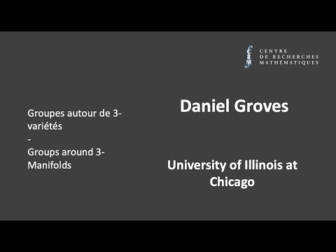 Daniel Groves: 3-manifold groups II
