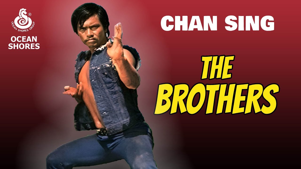 Wu Tang Collection - The Brothers