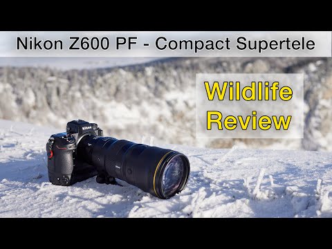 Many have been waiting for this! Nikon Z 600mm f/6.3 PF (REVIEW)