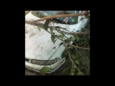 EDO SAIYA x PLANEMO x MORTEN - LOW PASS FILTER [REMIX NEW]