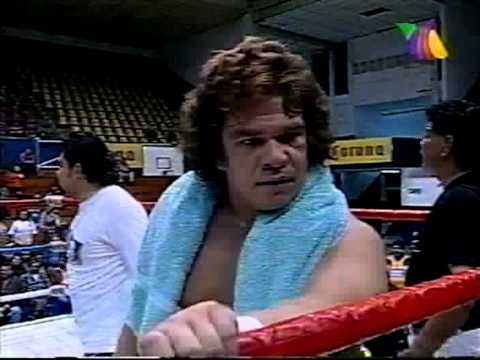 Perro Aguayo Jr. vs. El Dandy