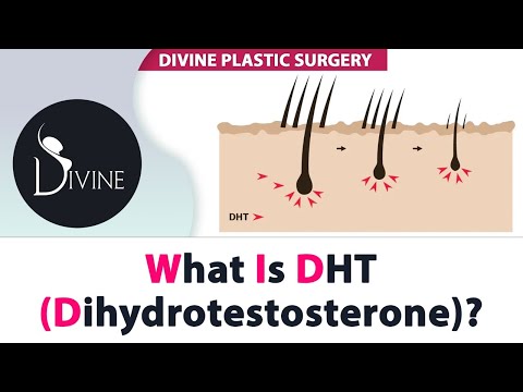 What is the Role of DHT (Dihydrotestosterone)? | Does DHT Cause Hair Loss