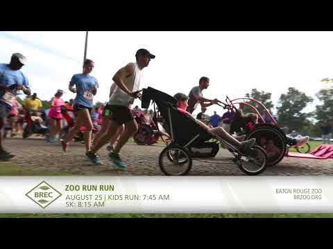 This Month at BREC - August 2018