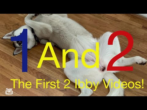 The first 2 Ibby videos ever!
