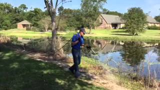 Lawn Care Lake Charles