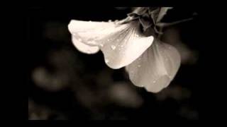 Green Carnation - Rain