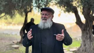 דברי שבח ואזכרה לרב נריה זצ״ל | הרב יואל אליצור (ישיבת הר הבית) - התמונה מוצגת ישירות מתוך אתר האינטרנט יוטיוב. זכויות היוצרים בתמונה שייכות ליוצרה. קישור קרדיט למקור התוכן נמצא בתוך דף הסרטון