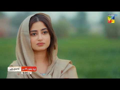 Zard Patton Ka Bunn 🍂 - Promo - [ Sajal Ali & Hamza Sohail ] From Sunday, 12th May at 8 PM - HUM TV