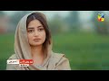 Zard Patton Ka Bunn 🍂 - Promo - [ Sajal Ali & Hamza Sohail ] From Sunday, 12th May at 8 PM - HUM TV