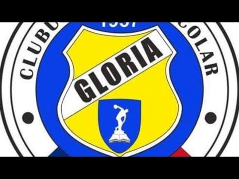 Meci CSS Gloria- Arad vs ACS Wild Cats Baia Mare U13