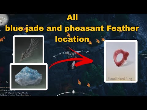 Where Winds Meet - Dushan Blue Jade Locations and Pheasant Feathers