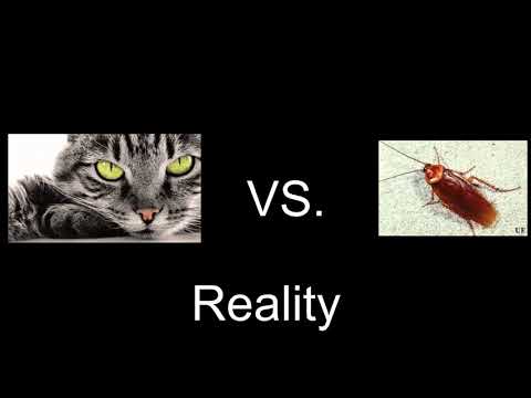League of Legends Reality (Rengar vs Kha zix) Reality 2017