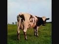 Pink Floyd - Atom Heart Mother Suite 