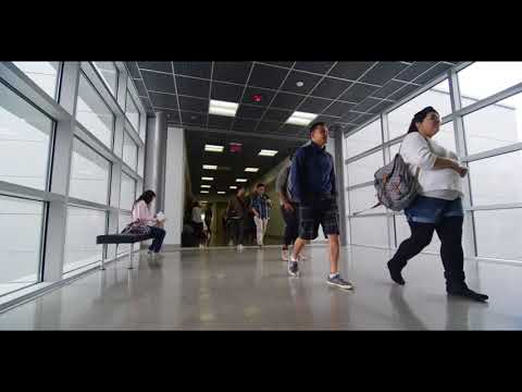 Hallway foot traffic free b-roll